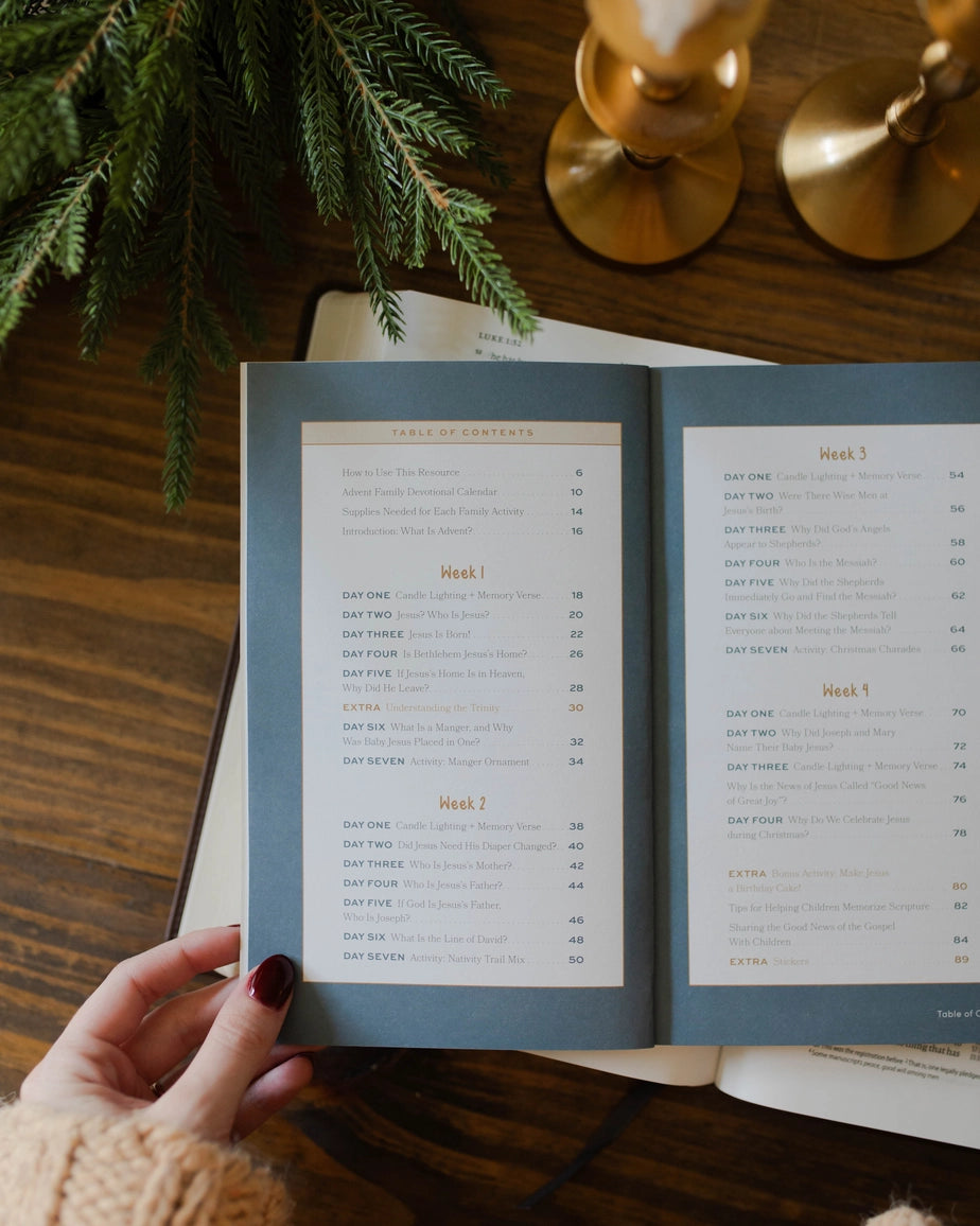 More Than A Manger: How Every Detail of the Christmas Story Points To the Messiah