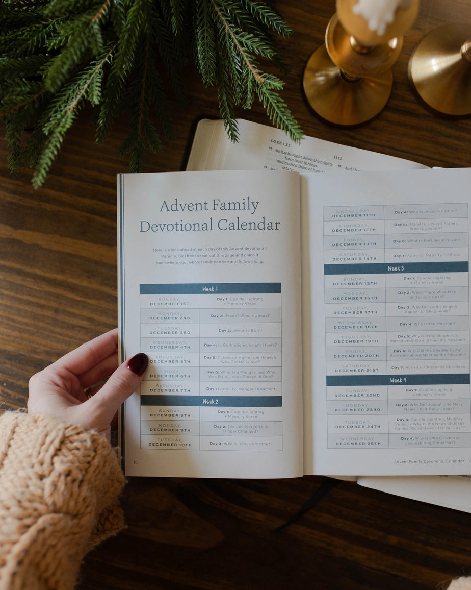 More Than A Manger: How Every Detail of the Christmas Story Points To the Messiah