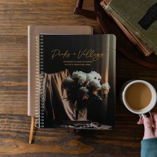 Peaks and Valleys: Learning To Look To Christ in Life's Highs and Lows | A Study On the Life of David